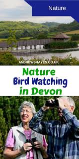 Bird Watching In Devon Wetland Family Days Out Bird Watching