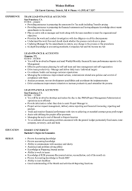 Feb 18, 2021 · as resume introductory statements go, the resume objective isn't as valuable as the modern resume summary statement. Finance Accounts Resume Samples Velvet Jobs