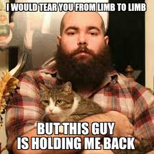 50 fat cat memes ranked in order of popularity and relevancy. 100 Funniest Cat Memes Ever