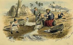 Zealous Gold Digger Bendigo 1854 By S T Gill Australian Painting Paintings Prints Art