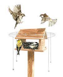 Stokes select double suet feeder. Do Feeder Halos Keep House Sparrows At Bay Project Feederwatch Blog