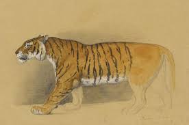 Cara menggunakan rumus shio jalur angka main. Lukisan Harimau Raden Saleh Jejak Nestapa Satwa Di Pulau Jawa Semua Halaman National Geographic