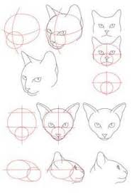 This tutorial shows how to draw a perfect circle freehand.for long tutorials subscribe to patreon. 670 Draw Cats Ideas In 2021 Animal Drawings Cat Drawing Drawings