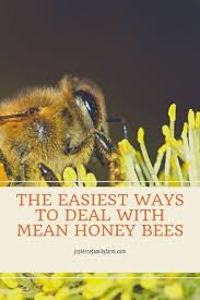 How To Handle Mean Honey Bees In 2020 Bee Honey Bee Friendly Garden