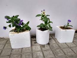 How To Use Thermocol Boxes As Pots Small Plants Plastic Pots Handmade Box