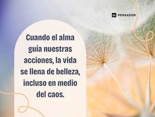73 frases que tocan el alma y el corazón para reflexionar cuando más lo necesitas - Pensador