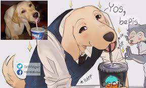 Funny Dog Eats A Bepis Beastars In 2020 Anime Funny Anime Memes Funny Anime Furry