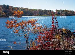 Lake marcia hi-res stock photography and images