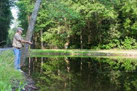 We did not find results for: Caledonia State Park