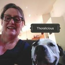 TOP 10 BEST Pet Sitting near Fountain Hills, AZ