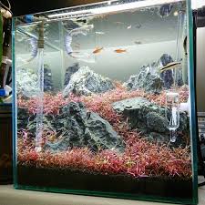 Red Mountain Rock Nano Tropical Aquarium Layout Fish Aquarium Decorations Tropical Aquarium Tropical Fish Aquarium