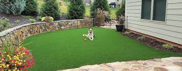 From artificial grass stores near your home in your yard is that it requires less or no maintenance at all to retain its compelling looks. Pet Dog Turf Charlotte Nc Artificial Grass For Dogs Synlawn Carolina