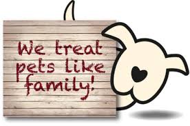 Maybe you would like to learn more about one of these? Williamstown Animal Hospital Mid Ohio Valley Veterinarian
