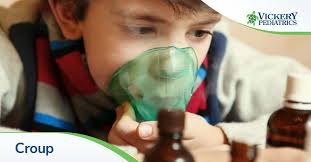 Image result for Croup