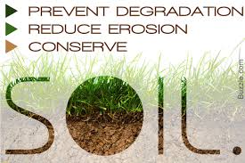 10 Ways To Conserve Soil You Wont Believe Actually Work