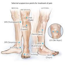 What You Ought To Know About Acupuncture You Can Get Additional Details At The Image Link Acupuncture Acupressure Treatment Acupuncture Shiatsu Massage