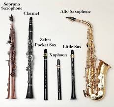 The Entry Level Pocket Saxophone For Music Amateurs And