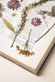 There are many artists out there who are drying flowers for storage: Tutorials On How To Dry Press Flowers To Embed Into Resin Nunn Design Pressed Flower Crafts Pressed Flower Art Pressed Flowers