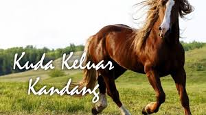 Kuda, horse, carriage, seahorse, sheepfold, horse meat, horse dick, horse racing. Kandang Kuda In English Cara Membuat Kandang Kuda Youtube Kandang Kuda In A Sentence And Translation Of Kandang Kuda In English Dictionary With Audio Pronunciation By Dictionarist Com Irememberoo