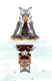 Togruta S World I M Ahsoka Master Yoda Sent Me To Deliver A Star Wars Women Star Wars Memes Star Wars Clone Wars