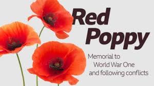 Often found growing along roadside ditches and other humble places, these flowers have enchanted poets and helped doctors treat their patients for. Poppy Appeal What Do The Different Coloured Poppies Mean Cbbc Newsround