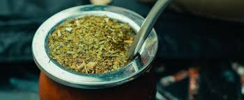 One of a matched pair: The Benefits Of Consuming Yerba Mate Latinamerican Post
