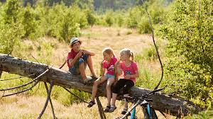 Hoewel denemarken het kleinste land van scandinavië is, is wel een bijzonder land. Natuur In Zuid Denemarken Dansk Nl De Denemarken Specialist