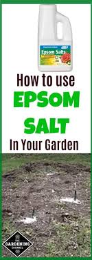 Whether you want to reduce inflammation and reduce aches. How To Use Epsom Salts In Your Home Garden Gardening Channel
