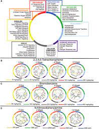 Enrichment Of Biologically Relevant Transcriptional Programs Occurs In Download Scientific Diagram