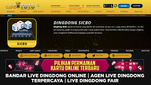 Legototo Bandar Live Dingdong Fair Livedingdongvip Twitter