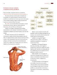 El administrador del blog libros favorito 2019 también recopila otras imágenes relacionadas con los libro de ciencias naturales 6 grado 2018 a continuación. Ciencias Naturales Sexto Grado 2017 2018 Ciclo Escolar Centro De Descargas