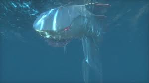 #sotshot #sharkweek #seaofthieves not much is known about the shark, in this video, we find out more! Sea Of Thieves Where Does The Megalodon Spawn