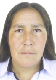 Antecedentes de Otorongos Elecciones 2022