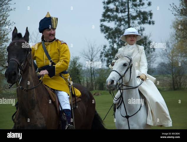 Skinners horse hi-res stock photography and images - Alamy