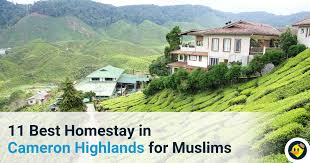 Perhaps it is that feeling that choosing a homestay malaysia accommodation here coupled with the friendly malay hospitality, i'm sure you would thoroughly enjoy your stay here. 11 Best Homestays In Cameron Highlands For Muslims C Letsgoholiday My