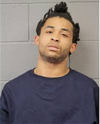 ᐅ Illinois Criminal Records 2009-2026