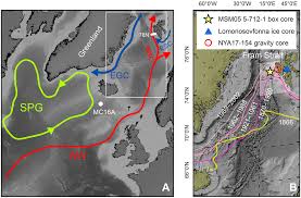 Image result for Pink 1961 Tappan