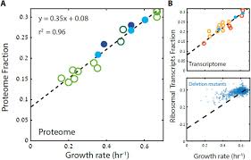 Principles Of Cellular Resource Allocation Revealed By Condition Dependent Proteome Profiling Biorxiv