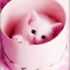 Pin On Profile Photo