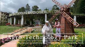 Taman agroteknologi mardi, cameron highland, exotic flower, rare flower, strawberry park, beautiful flower in cameron highland, Agro Technology Park Mardi Cameron Highland Youtube