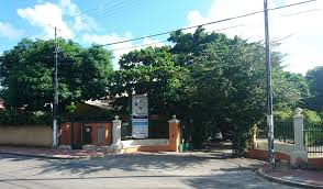 In ouwehands dierenpark in rhenen is iedereen dan ook super blij. Quote Italiaanse Justitie Blijft Achter Marcel Boekhoorn Aanzitten In Pijnlijk Gokdossier