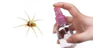 Comment Garder Les Araignees Loin De La Maison Trucs Et Astuces Truc Et Bricolage Astuce Menage