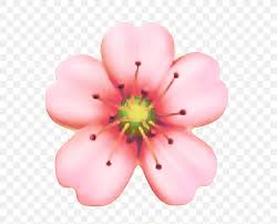 Cherry Blossom Cartoon Png 720x664px Cherry Blossom Blossom Cherries Flower Garland Download Free Plant hand drawn plants cartoon plant cartoon cherry blossom. cherry blossom cartoon png 720x664px