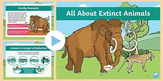 Many theories of the cause of their extinction have been presented. Ks1 All About Extinct Animals Powerpoint Primary Resources