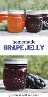 Homemade Grape Jelly Recipe Homemade Grape Jelly Grape Jelly Grape Juice Recipe