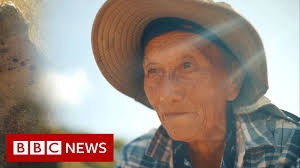 The refugees feeding a nation — Daisy Walsh