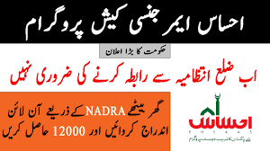 How To Apply In Ehsaas Emergency Cash Program Ehaas Nadra Gov Pk 8171 Registration Apply Online In 2020 Cash Program How To Apply Apply Online