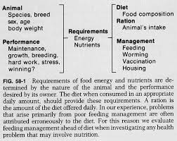 chapter 58 nutrition in orthopaedics