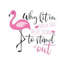 Why Fit In When You Were Born To Stand Out Png Why Fit In When You Were Born To Stand Out Svg Flamingo Svg Etsy In 2020 Flamingos Quote T Shirts With Sayings Love One Another Quotes
