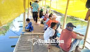 Nusabali Com Warga Sewakan Kolam Pancing